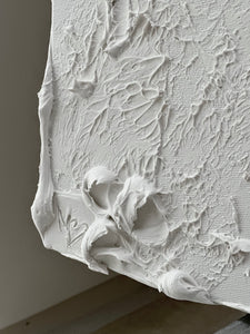 THE VERUM ALBA
